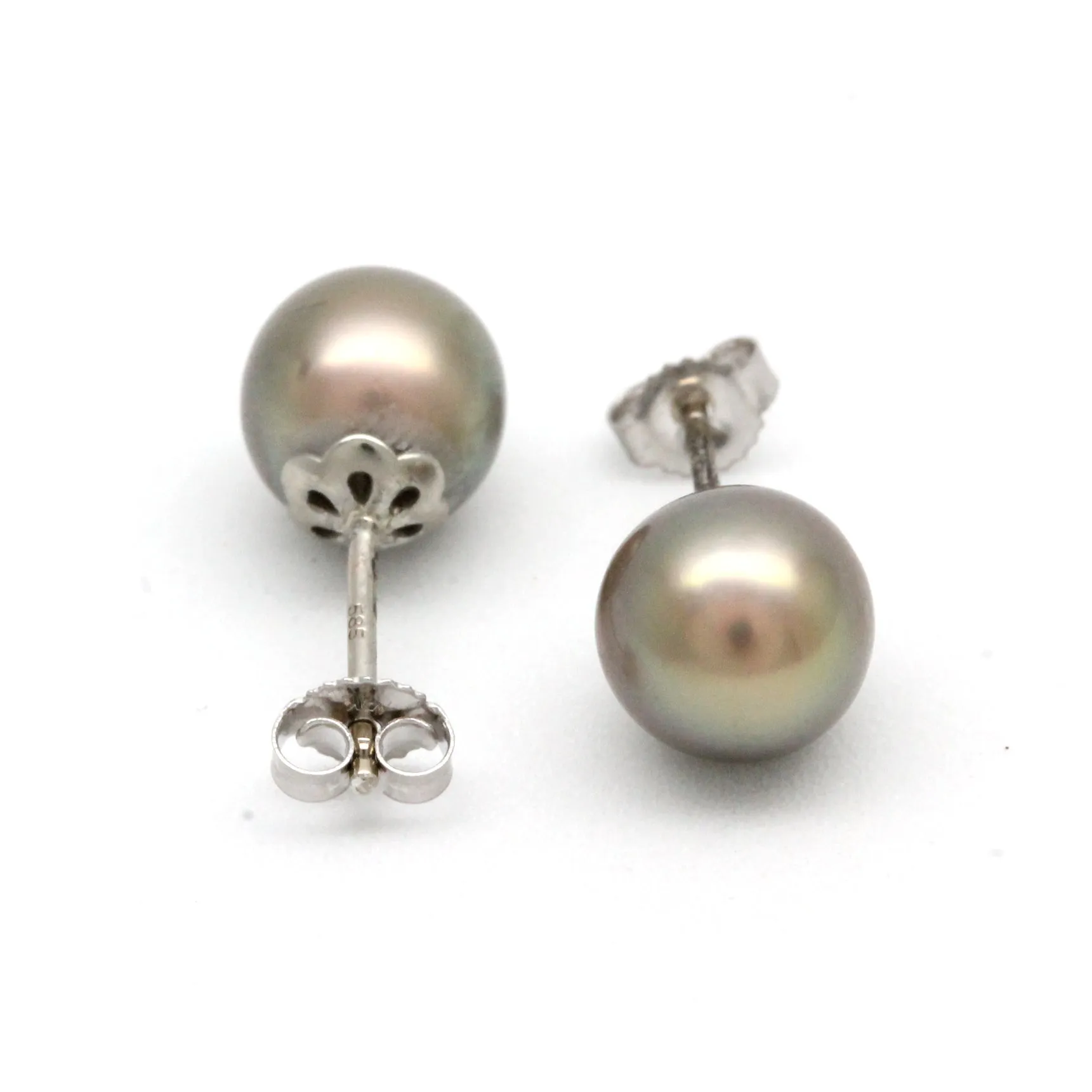 Dark Cortez Pearls on 14K White Gold Earrings