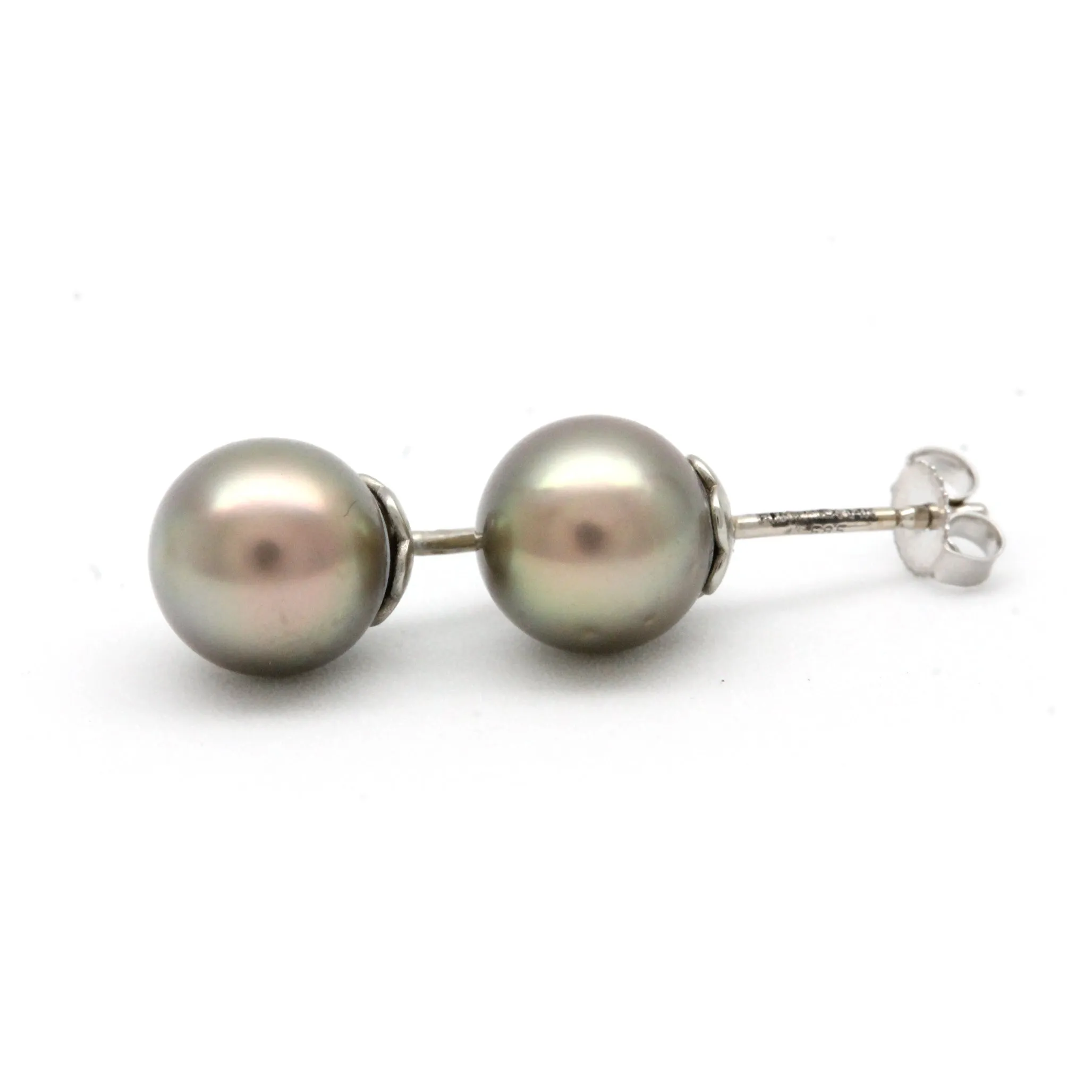 Dark Cortez Pearls on 14K White Gold Earrings